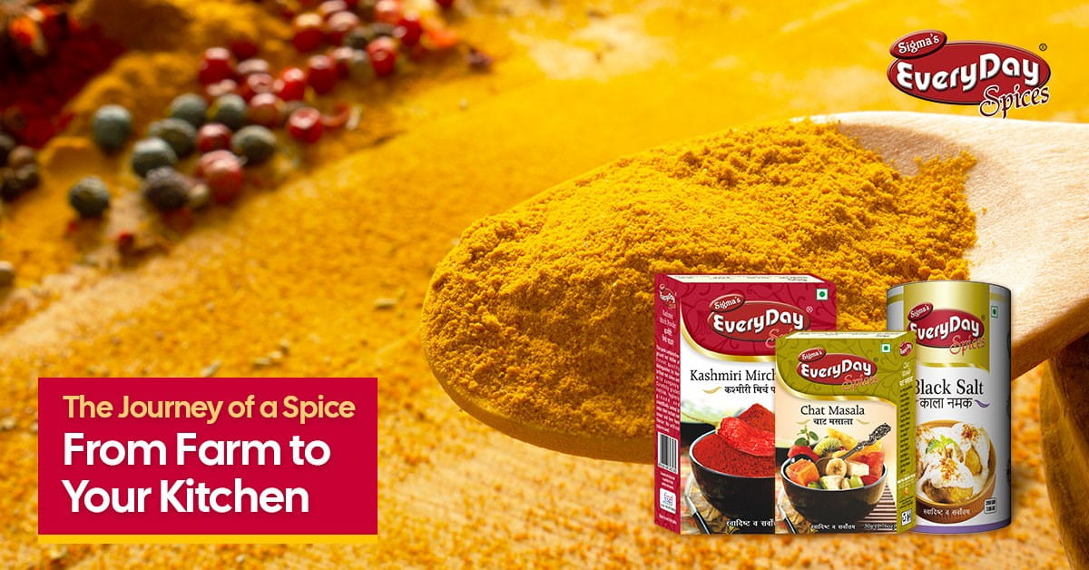 The Journey of a Spice - From Farm to Your Kitchen
